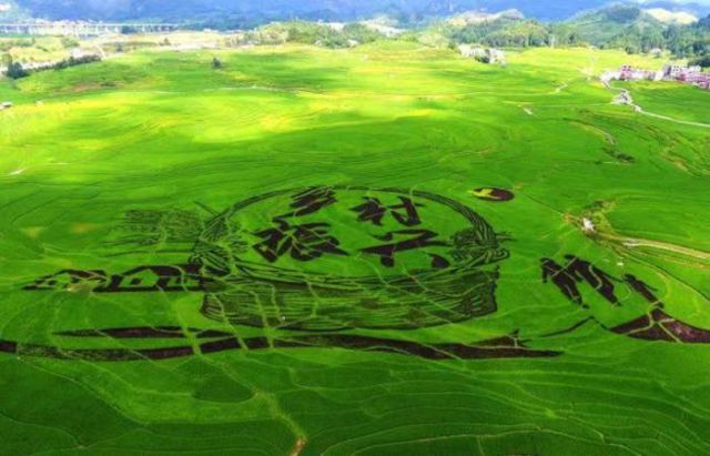 beat365在线唯一官网发起&ldquo;乡村振兴微电影评选推广项目&rdquo; 